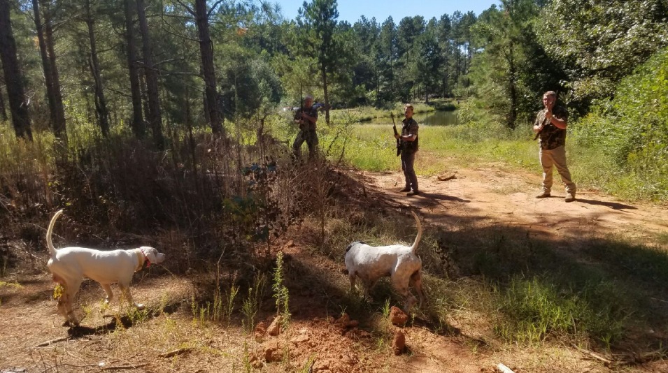 Toneycreekplantation Upland Hunt